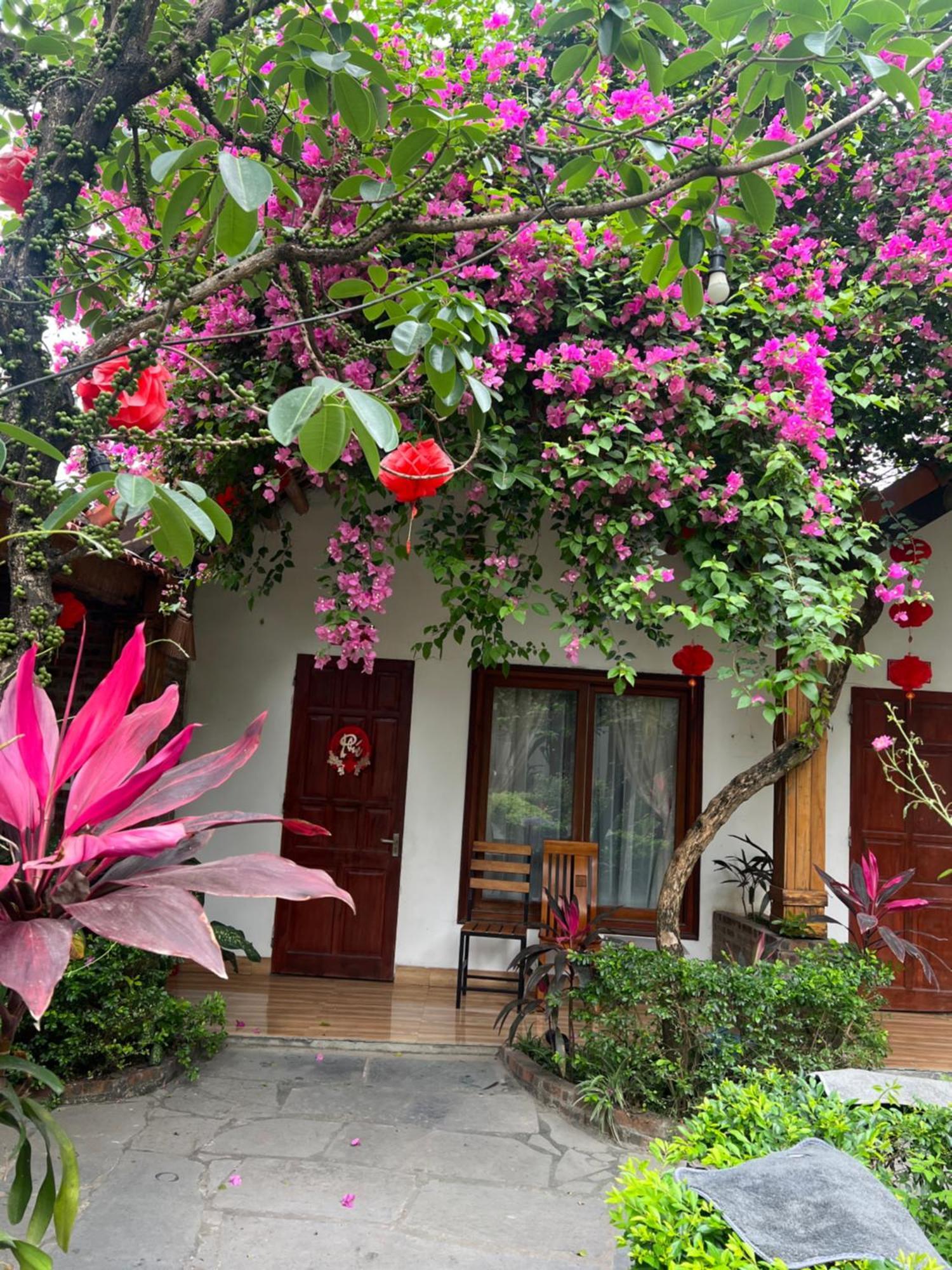 Tam Coc Serene Bungalow Ninh Bình Kültér fotó